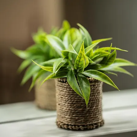 Apartment Sunny Apts & By 