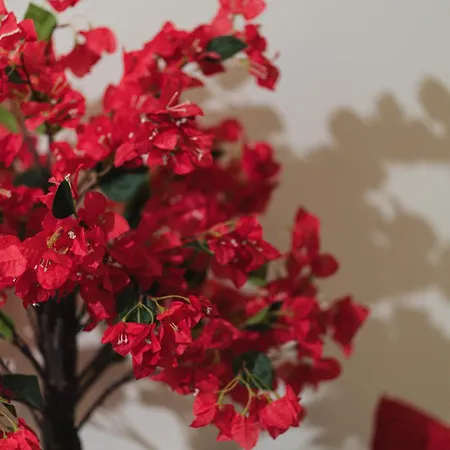 Apartment Sunny Apts & By 