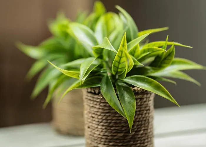 Appartement Sunny Apts & By 