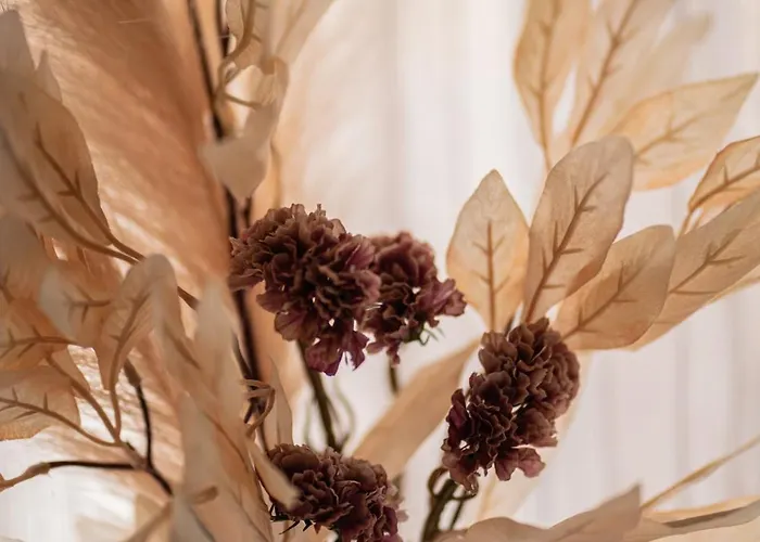 Appartement Sunny Apts & By 