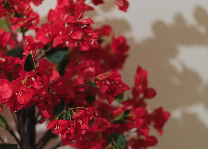 Appartement Sunny Apts & By 